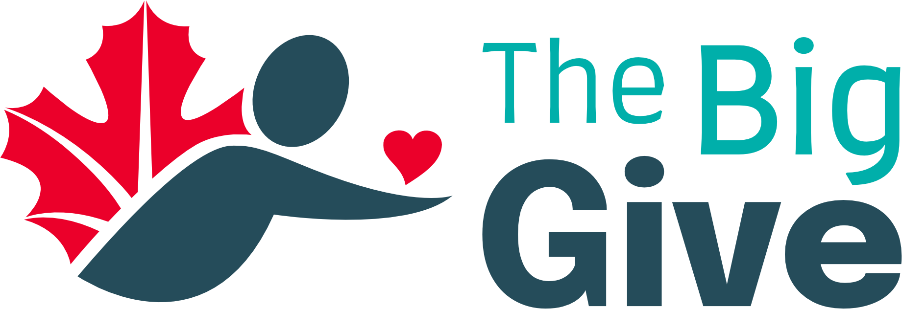 big give logo